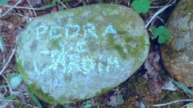 pedra de jardim