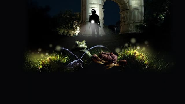 L'impero della natura. Una notte al Parco del Colosseo
