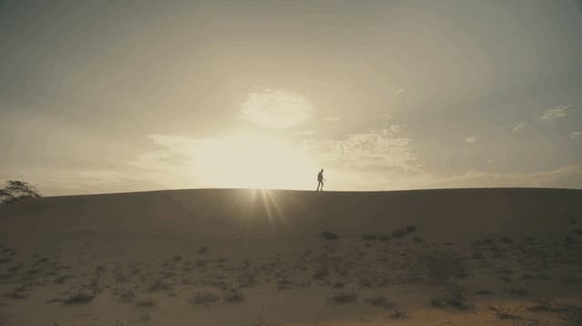 In-Out