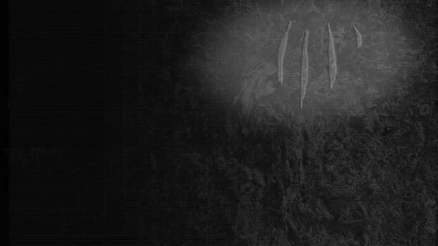 FISSURE