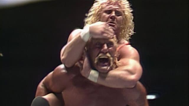 WWE WrestleFest '90