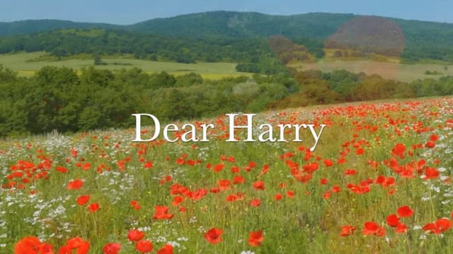 Dear Harry