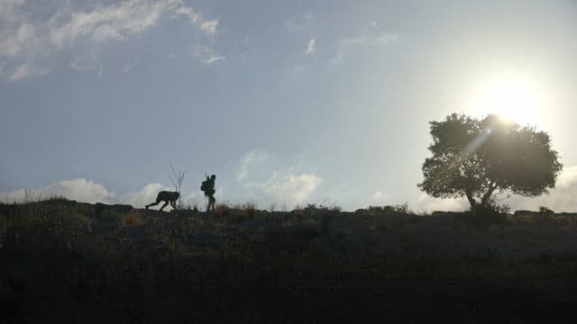 Cave