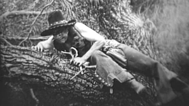 The Rawhide Terror