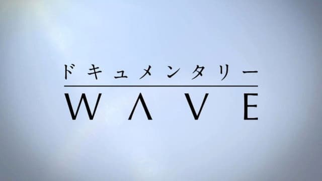 Documentary WAVE