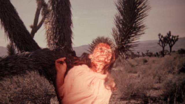 Meatcleaver Massacre