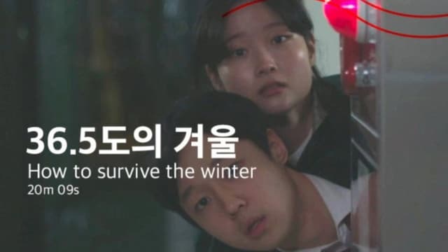 How to survive the winter