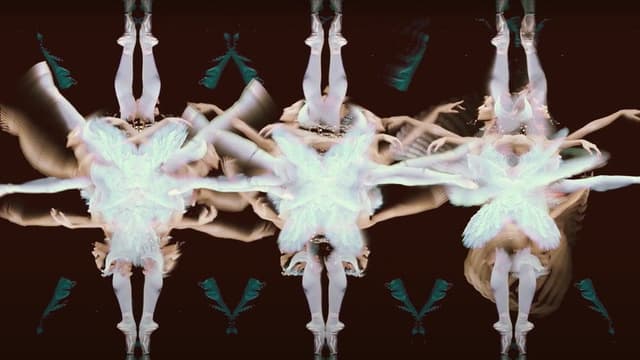 Cygnes