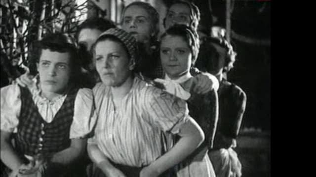 Petticoat Government
