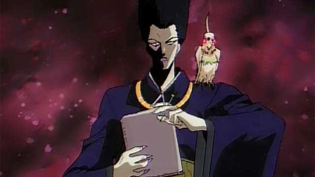 Judge