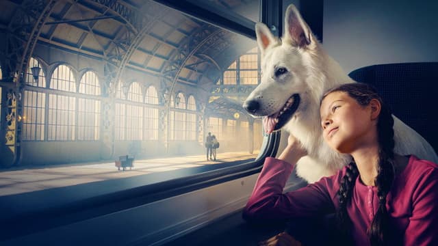 Lampo, the Travelling Dog