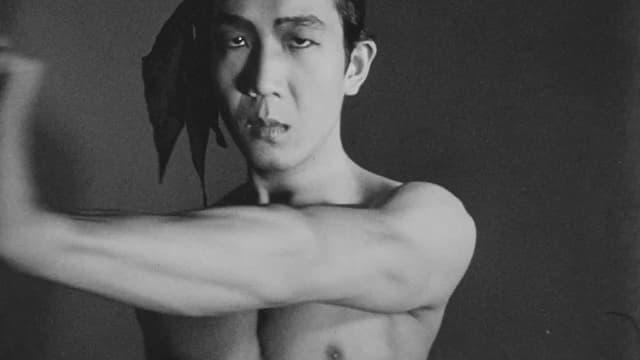 Meditation on Violence