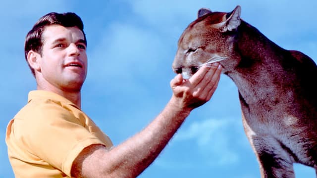 Charlie, the Lonesome Cougar