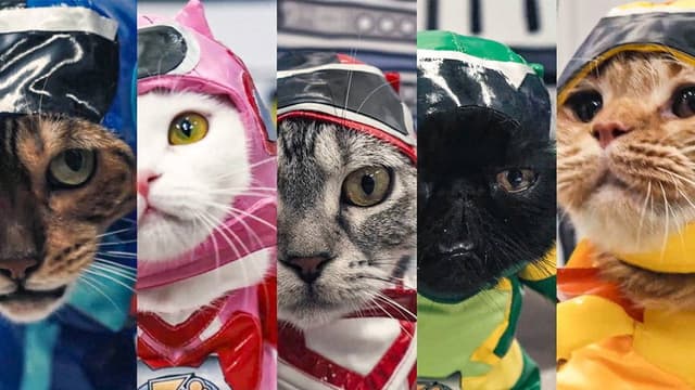 Cat Squadron Vitatama