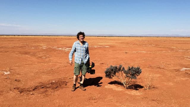 Night Parrot Stories