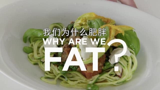 Why Are We Getting So Fat?