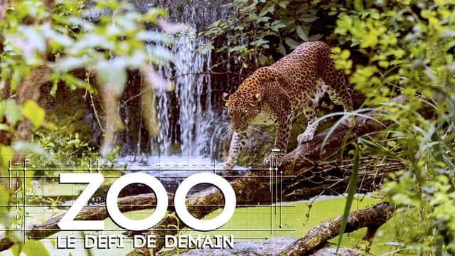 Zoo : le défi de demain