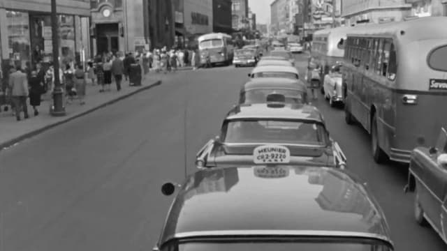 The Cars in Your Life