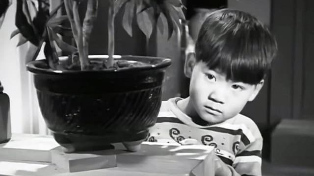 A Mother's Love (Mojeong)