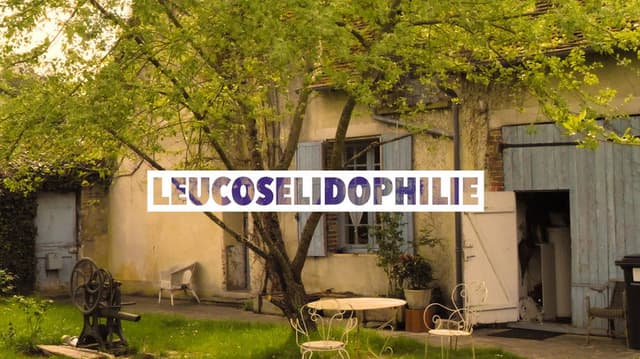 Leucosélidophilie