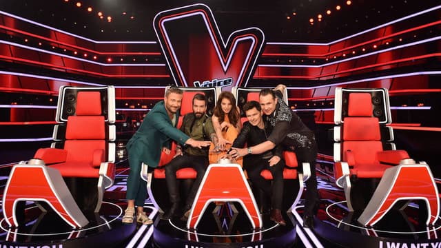 The Voice Senior (DE)