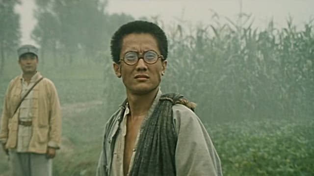 望日莲