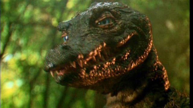 The Legend of Gator Face
