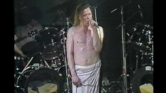 Swans: A Long Slow Screw.