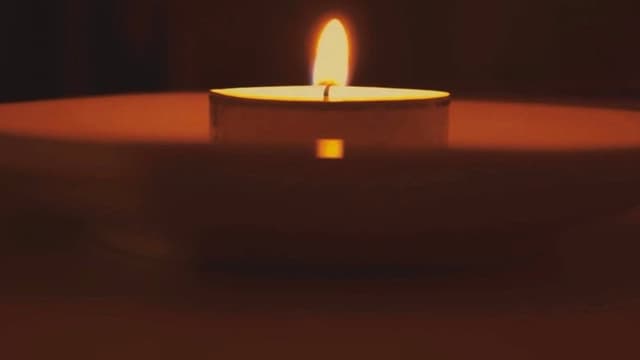 [ Lettura ( cinematografica) de "La metamorfosi" di Franz Kafka ]