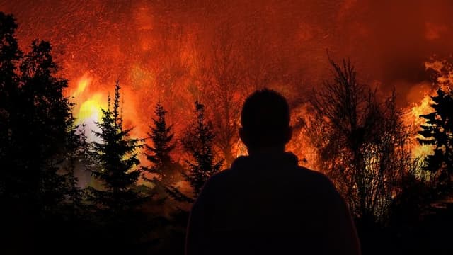 Witness to Disaster