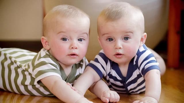 Secret Life of Twins