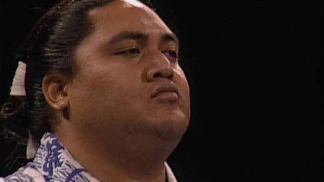 WWE Bashed in the USA