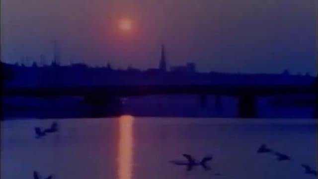 Portrait: A Film of Stockholm