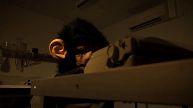 The Infinite Monkey Theorem