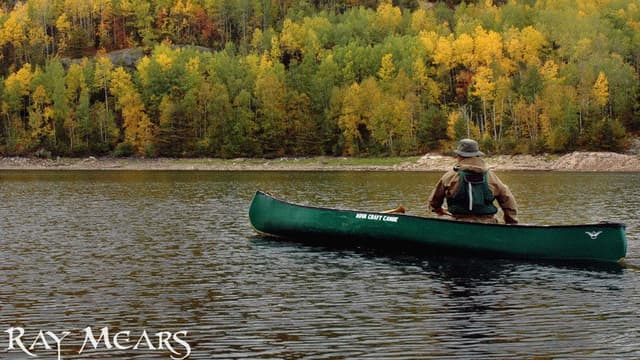 Ray Mears' Bushcraft