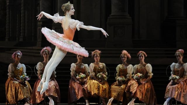 The Bolshoi Ballet Collection - The Sleeping Beauty