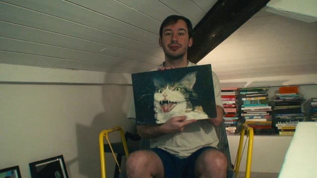 How To Save A Cat?