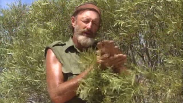 Survival In The Outback