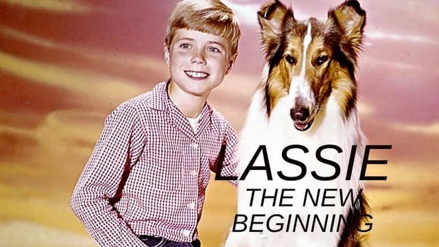 Lassie: The New Beginning