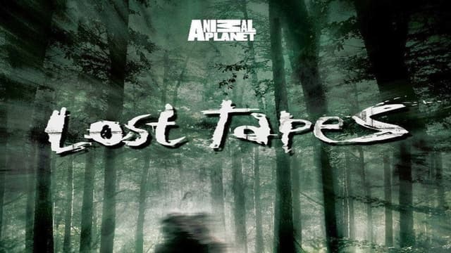 Lost Tapes