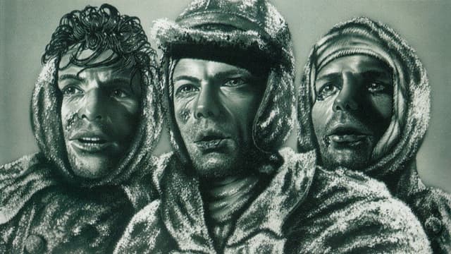 Lettres de Stalingrad