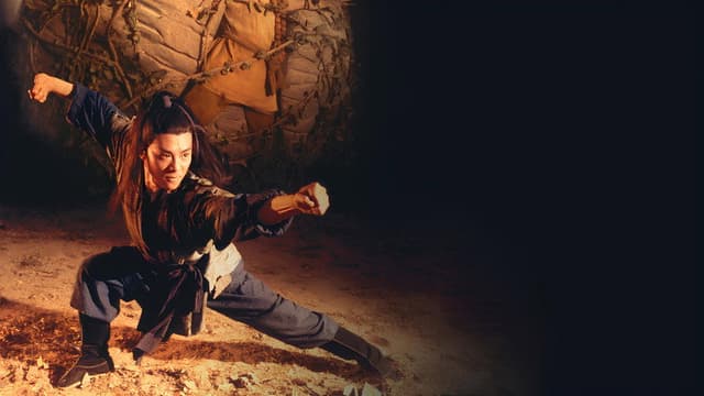 Kung Fu Cult Master