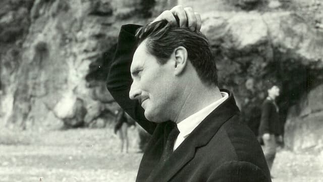 Pietro Germi - The Good, The Beautiful and The Bad