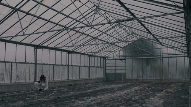 BLOOM - A Dystopian Short Film