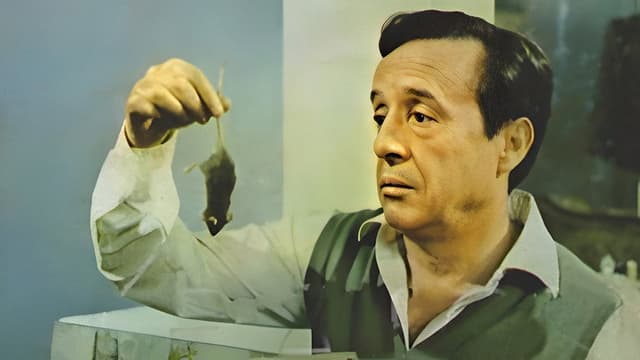Don Ratón y Don Ratero