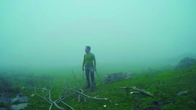 100 Days of Loneliness