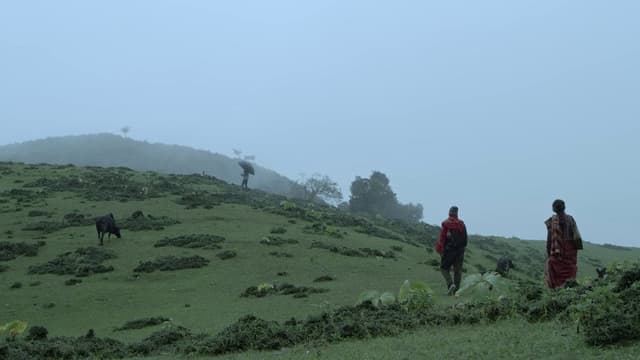 Paaniphoto