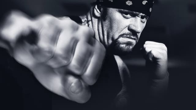 WWE Vengeance 2003