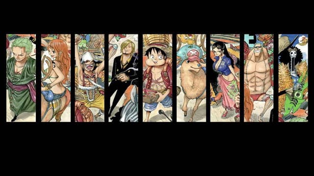 One Piece Characters Log