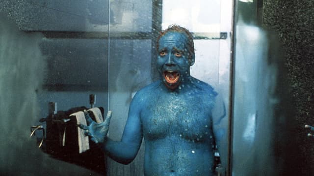 Big Fat Liar